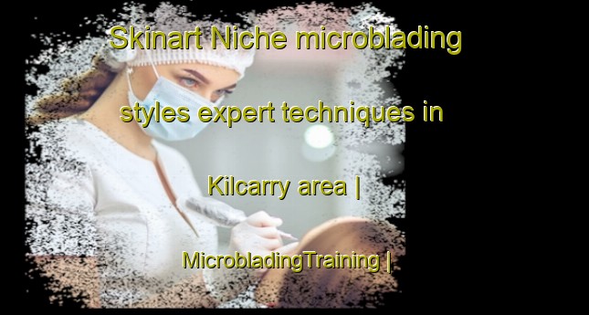 Skinart Niche microblading styles expert techniques in Kilcarry area | MicrobladingTraining | MicrobladingClasses | SkinartTraining-Ireland